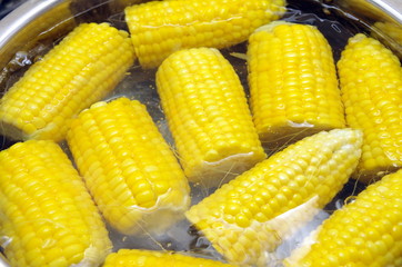 とうもろこしを茹でる