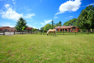 Pasture  on A horse ranch with a house and fence. - obrazy, fototapety, plakaty