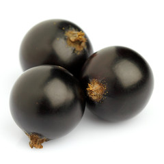 Fresh blackcurrant