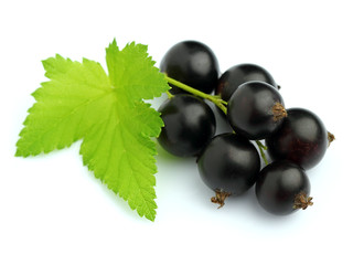 Ripe blackcurrant