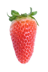 Single fresh red strawberry isolated on white background