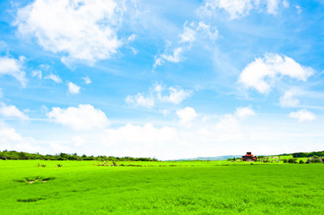 藍天