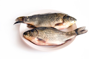 Fresh fish on a plate