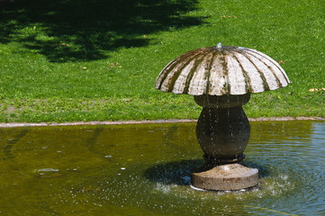 Wasserpilz im Saarlouiser Stadtpark
