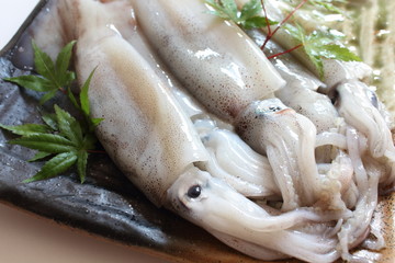 青森県産ムギイカ