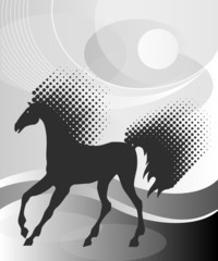 Gray background with horse