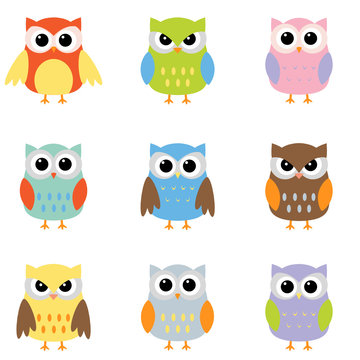 Color owls clip art