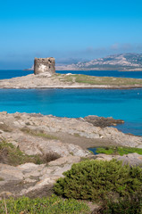 Sardinia, Italy: Capo Falcone and the spanish tower in Stintino