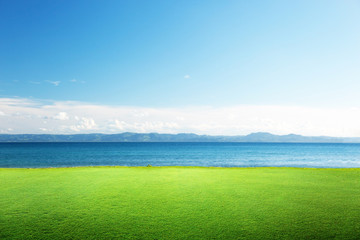 green grass and caribbean sea