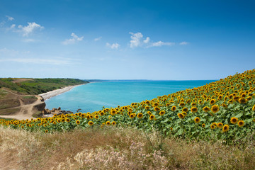 panorama