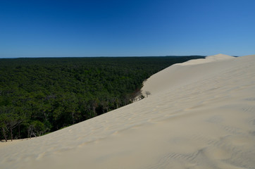 Depuis la Dune du Pyla