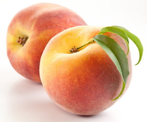 Two ripe peach with leaves