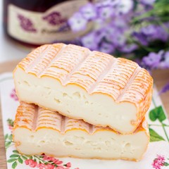 French cheese from Vosges region