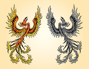 fenici tribali colore