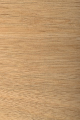 Wooden Texture