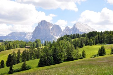 Sommer in den Dolomiten