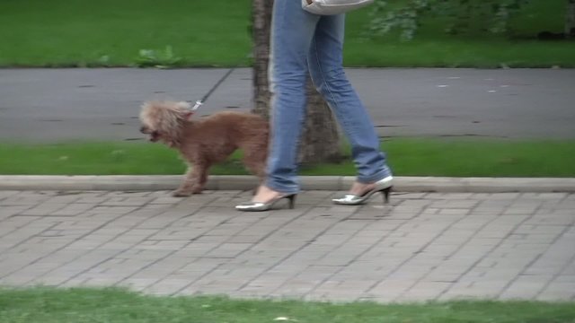 девушка с собачкой