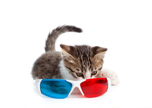 Occhiali 3D e gattino