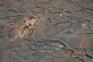 Kilauea Iki Crater Floor