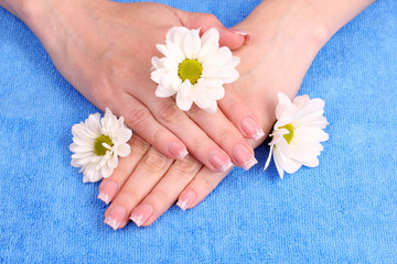 Obraz na płótnie Canvas women's hands and chamomile flowers on blue background