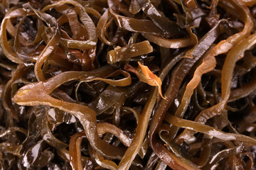 seaweed