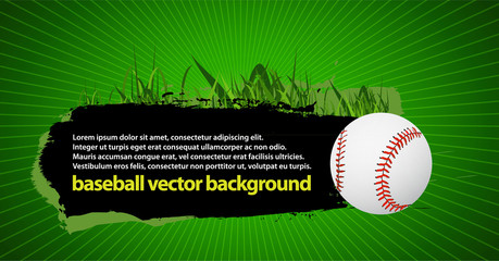 baseball banner vector 3