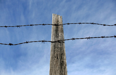 Barbed Wire