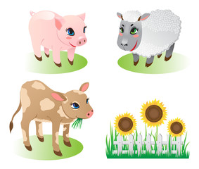 Farm animals