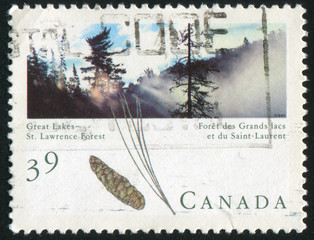 postage stamp