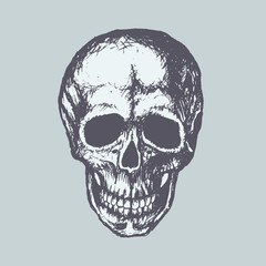 Human Skull