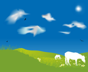 Fototapeta premium landscape with meadow and horses