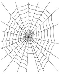 spider web