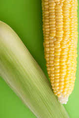 corn image 3
