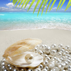 Fototapeta na wymiar Karaiby perła na powłoki białym piasku tropikalnej plaży
