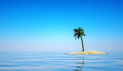 Fototapeta na wymiar Einsame Insel mit Palme