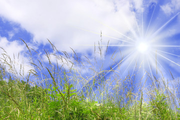 Sonnenenergie