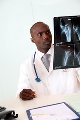 Portrait of doctor checking on X-ray results