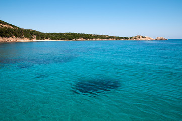 Fototapeta premium Sardynia, Włochy: Cala Spalmatore na wyspie La Maddalena