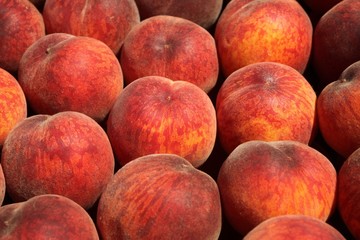 fresh peach fruits