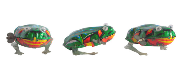 Isolated frog in different foreshortening