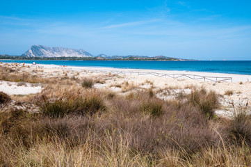 Fototapeta na wymiar Sardinia, Italy: La Cinta beach, near San teodoro.