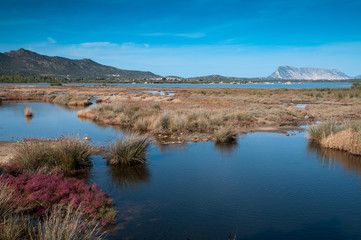 Sardinia, Italy: Pond of San Teodoro.