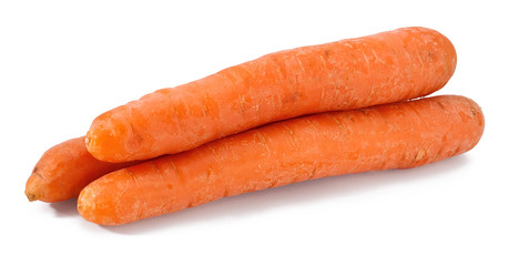 Carrot