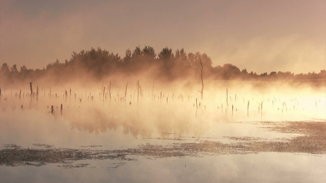 Morning sunrise on the marsh