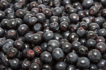 Blueberries