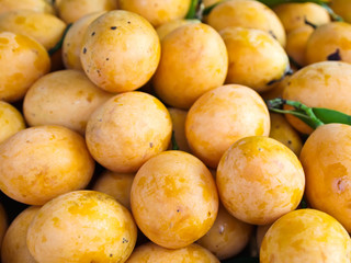 Exotic Thai Fruit , Marian plum