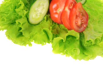 green salad and sliced tomato isolated on the white background