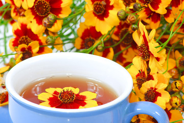 The blue cup of tea with nice flowers