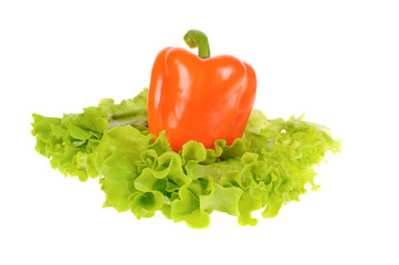 green salad and pepper isolated on the white background