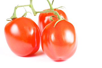cherry tomatoes isolated